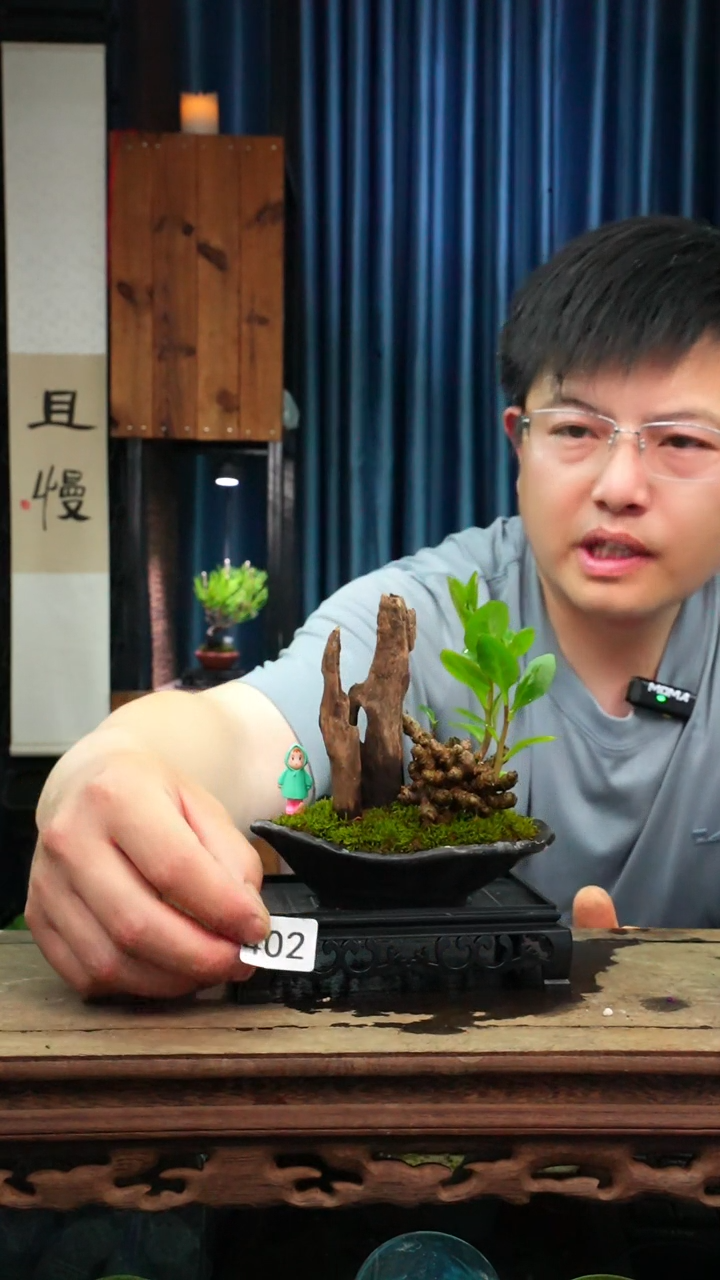 苔藓微景观402号