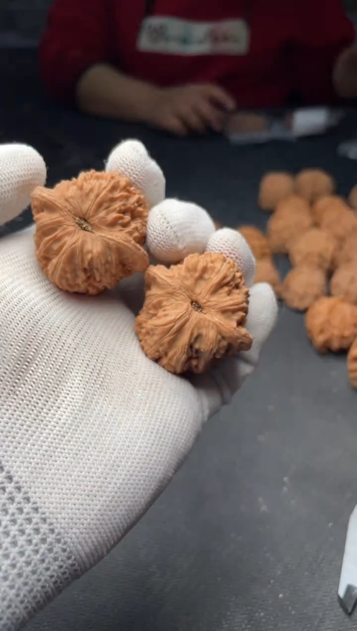 核桃a271 泥鳅背  37尺