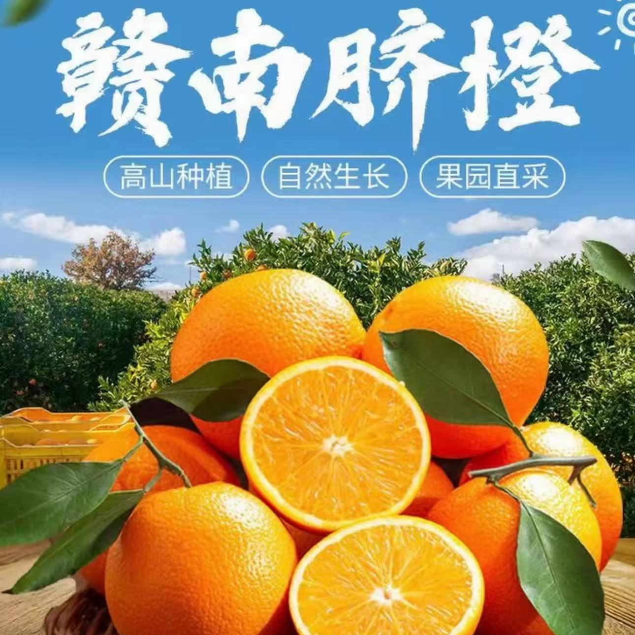 An【赣南脐橙现摘现发】正宗赣南脐橙皮薄肉厚多汁当季新鲜采摘