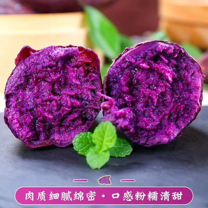 坏果包赔 新鲜采摘新鲜沙地紫薯罗兰紫薯5斤