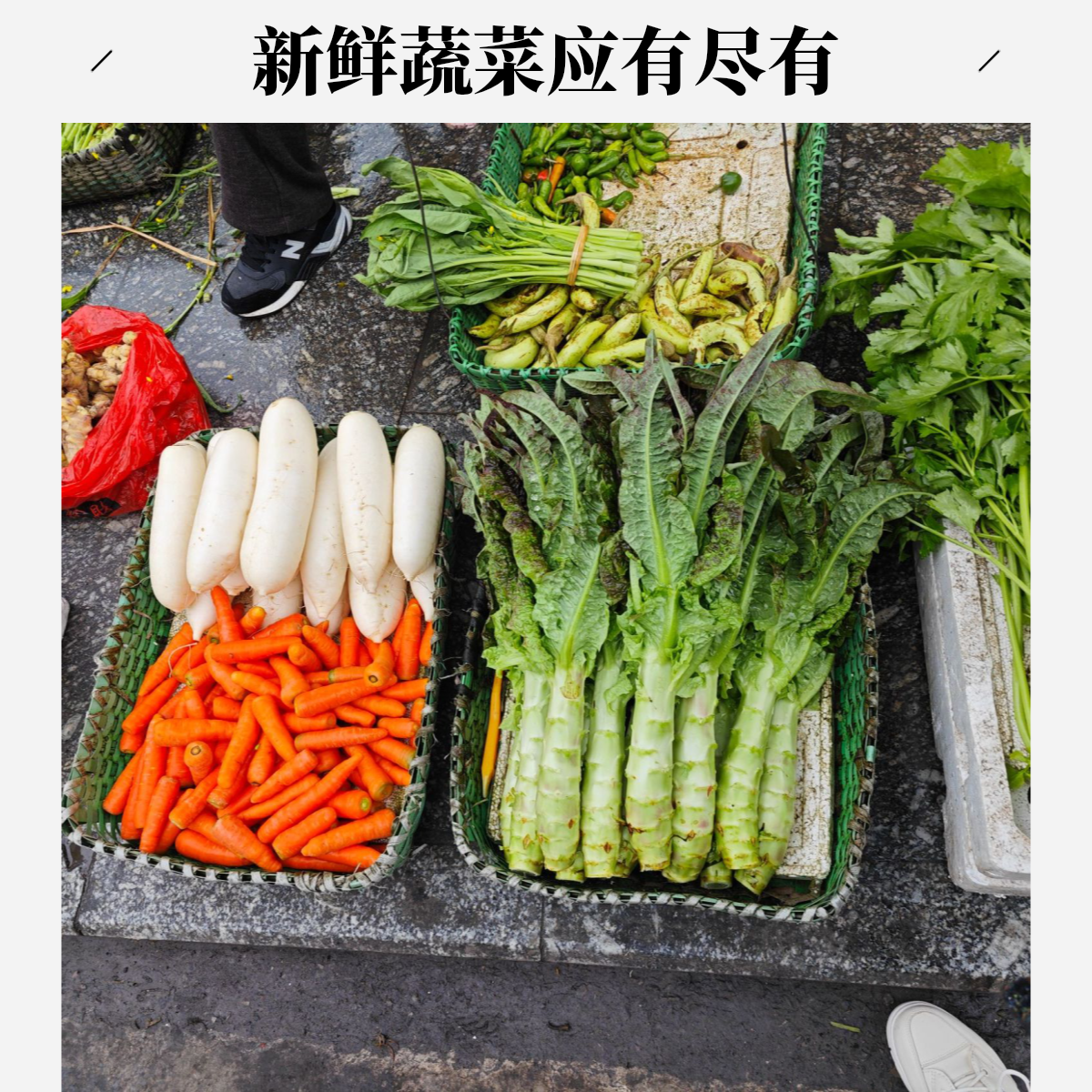 （湿菜）【小琼农产优选】桂林农家土货农副产品