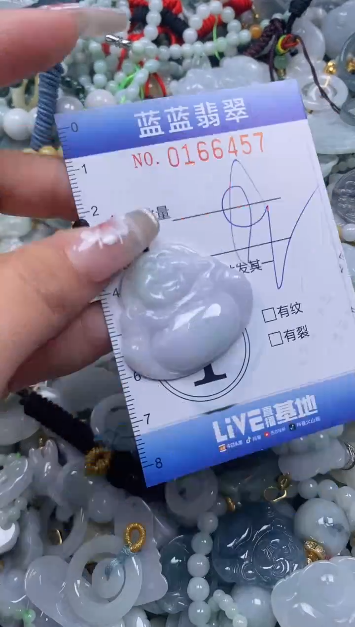 【闪购商品】翡翠颈饰未镶嵌闪购0166457