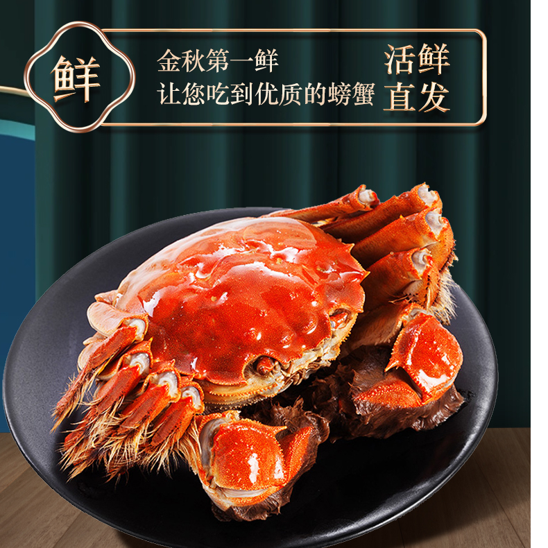 顺丰现发  公蟹4.2-4.5两 母蟹3.2-3.5两 对半 到手6/10只礼盒装
