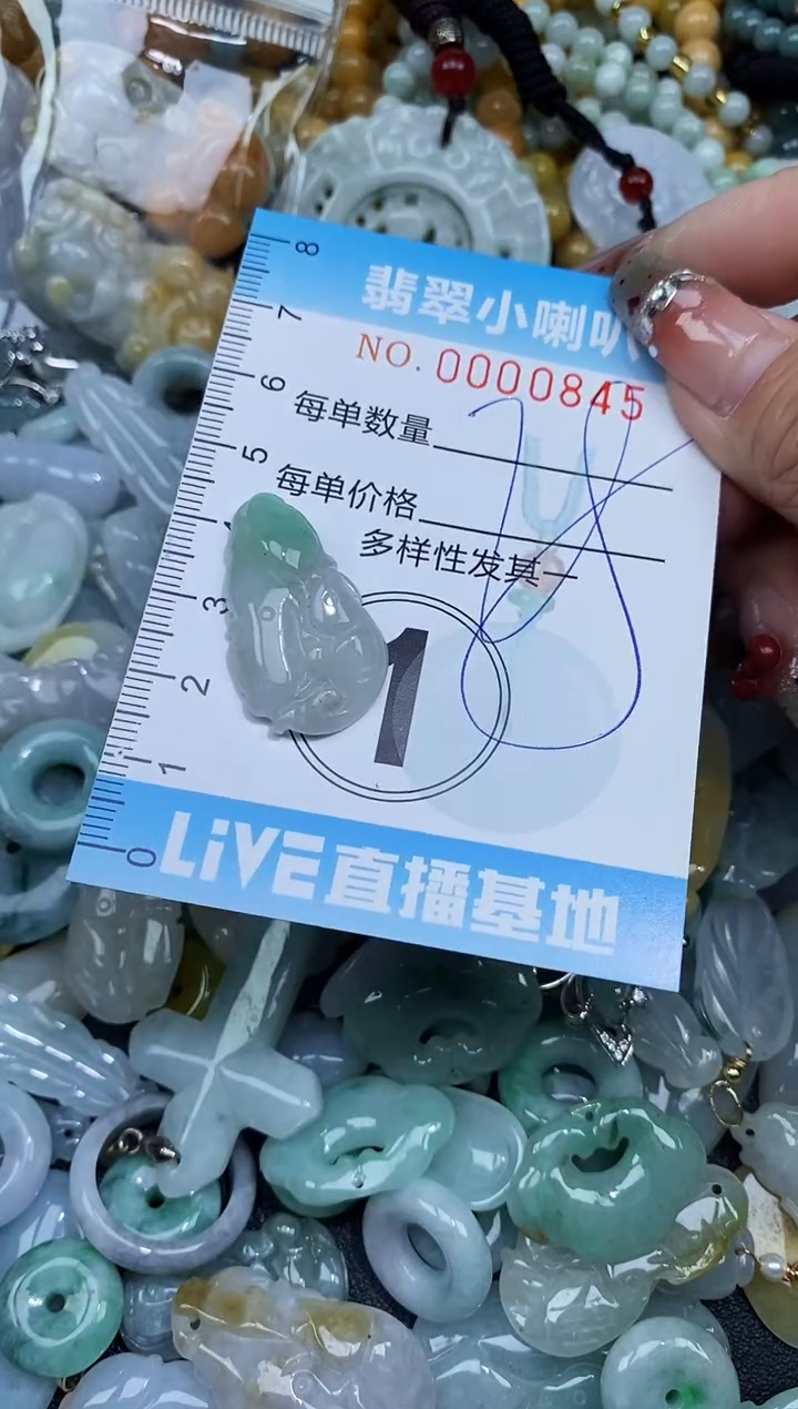 【闪购商品】翡翠颈饰未镶嵌闪购0000845