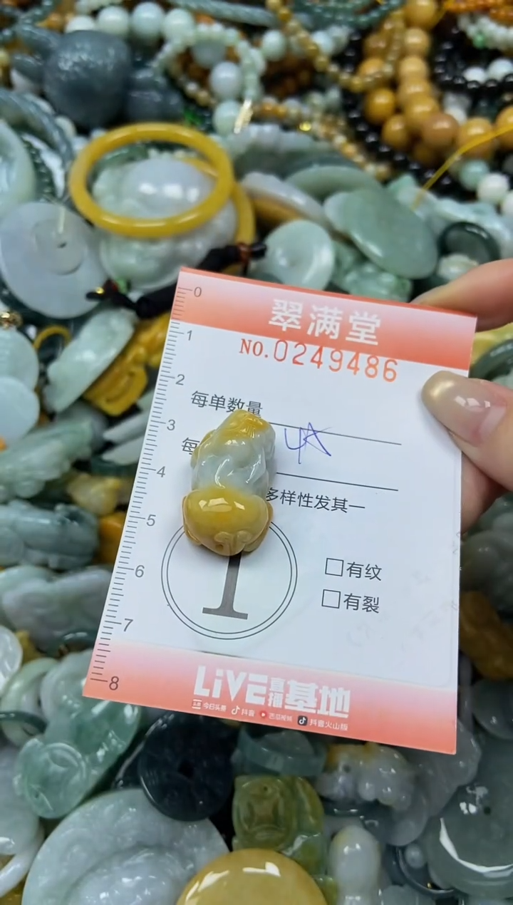 未镶嵌挂件翡翠闪购0249486