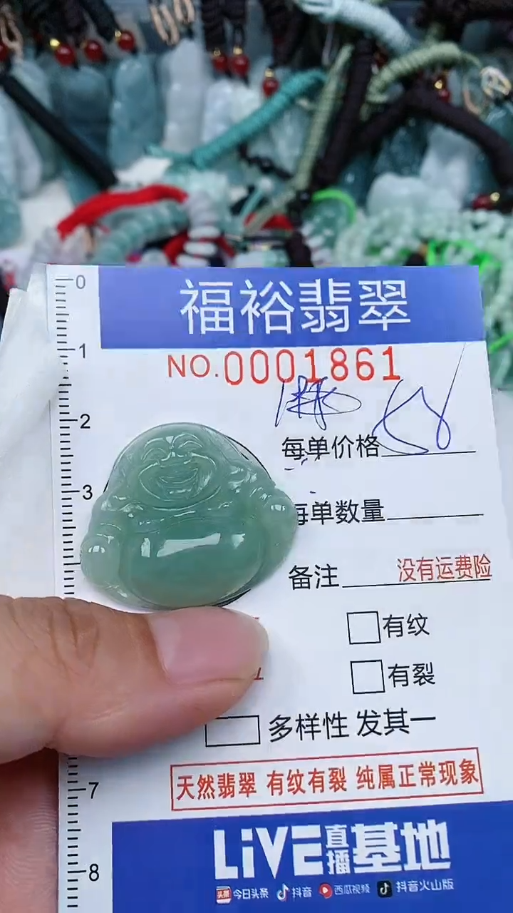 翡翠未镶嵌颈饰...0001861