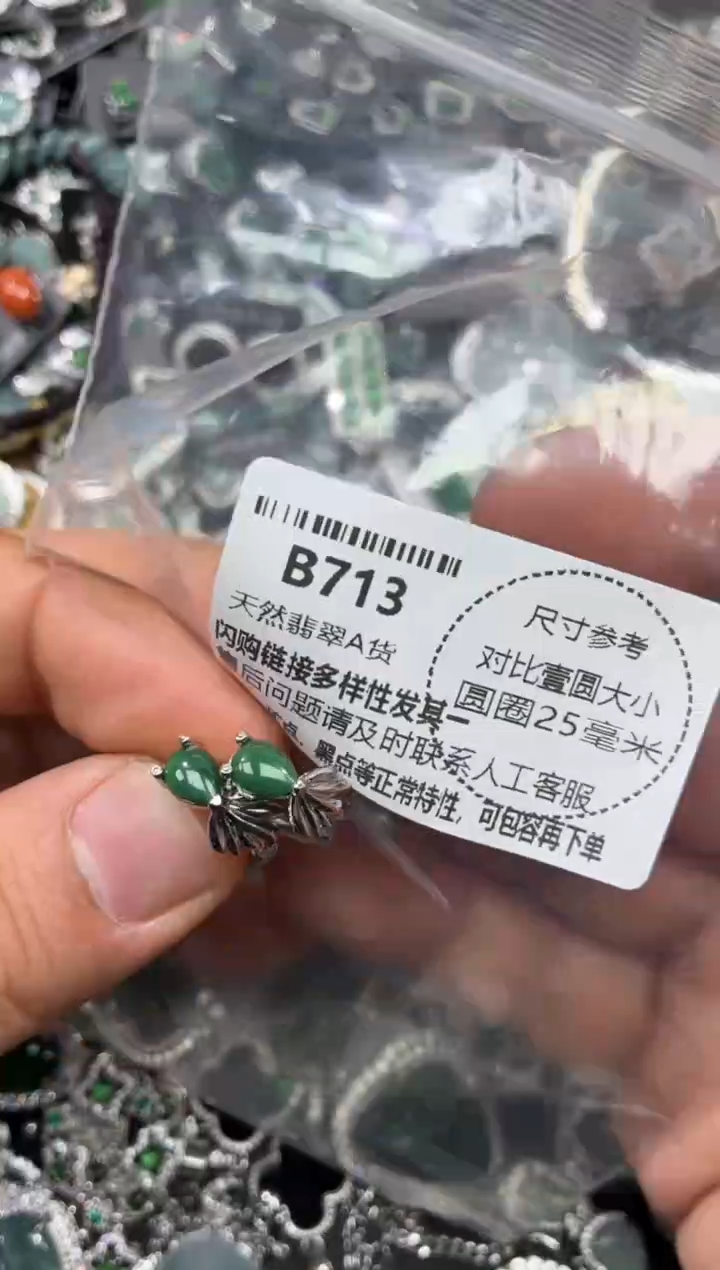 颈饰未镶嵌翡翠B713耳扣