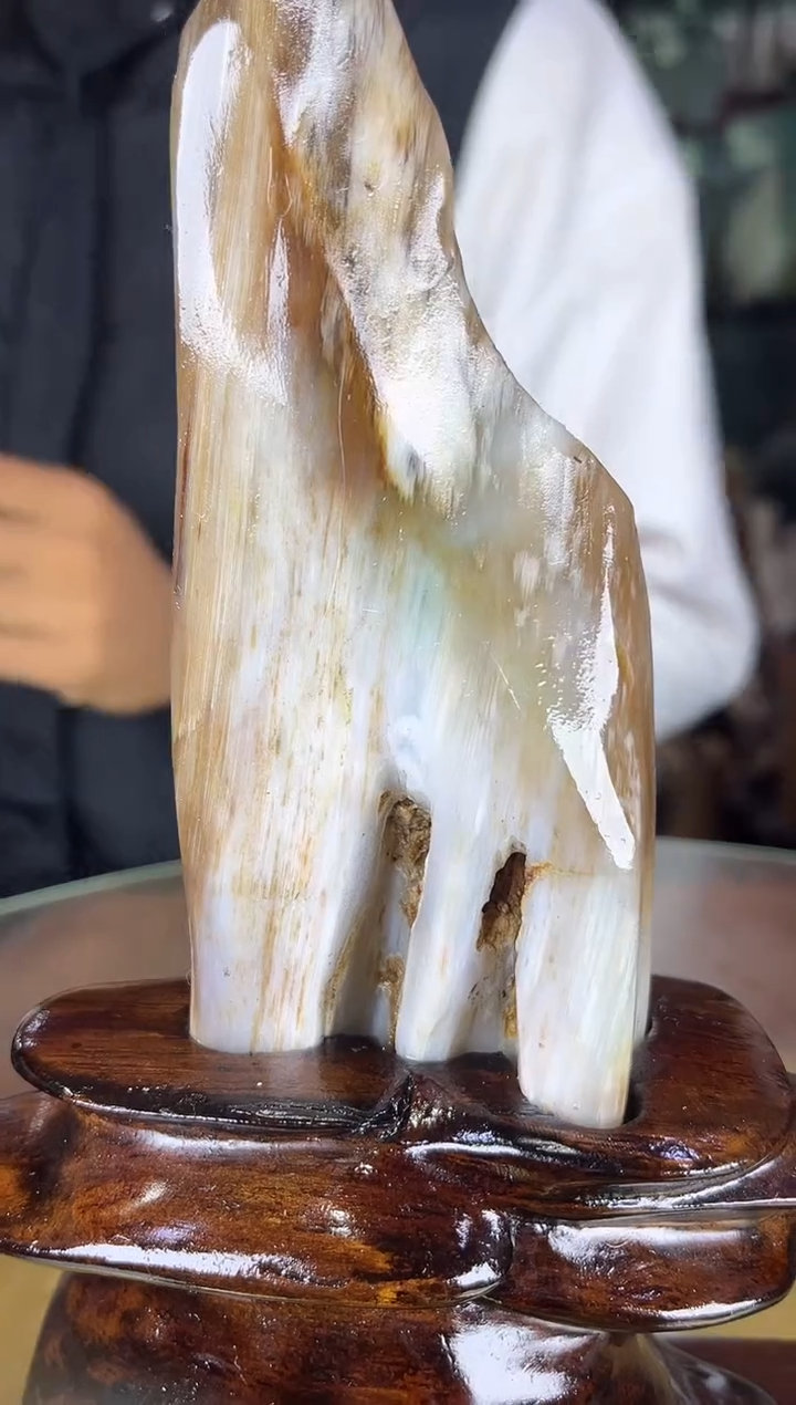 缅甸天然树化玉摆件