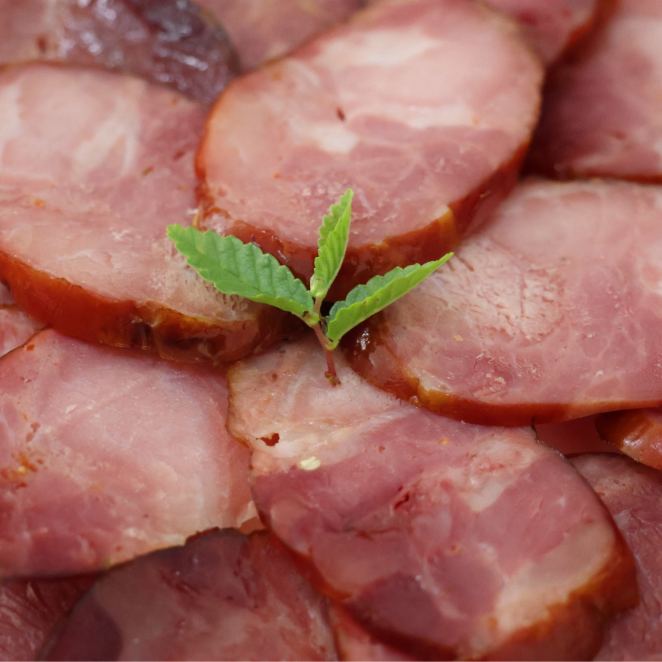 内蒙特产香薰丑肠正宗果木熏烤传统风味即食猪肉肠