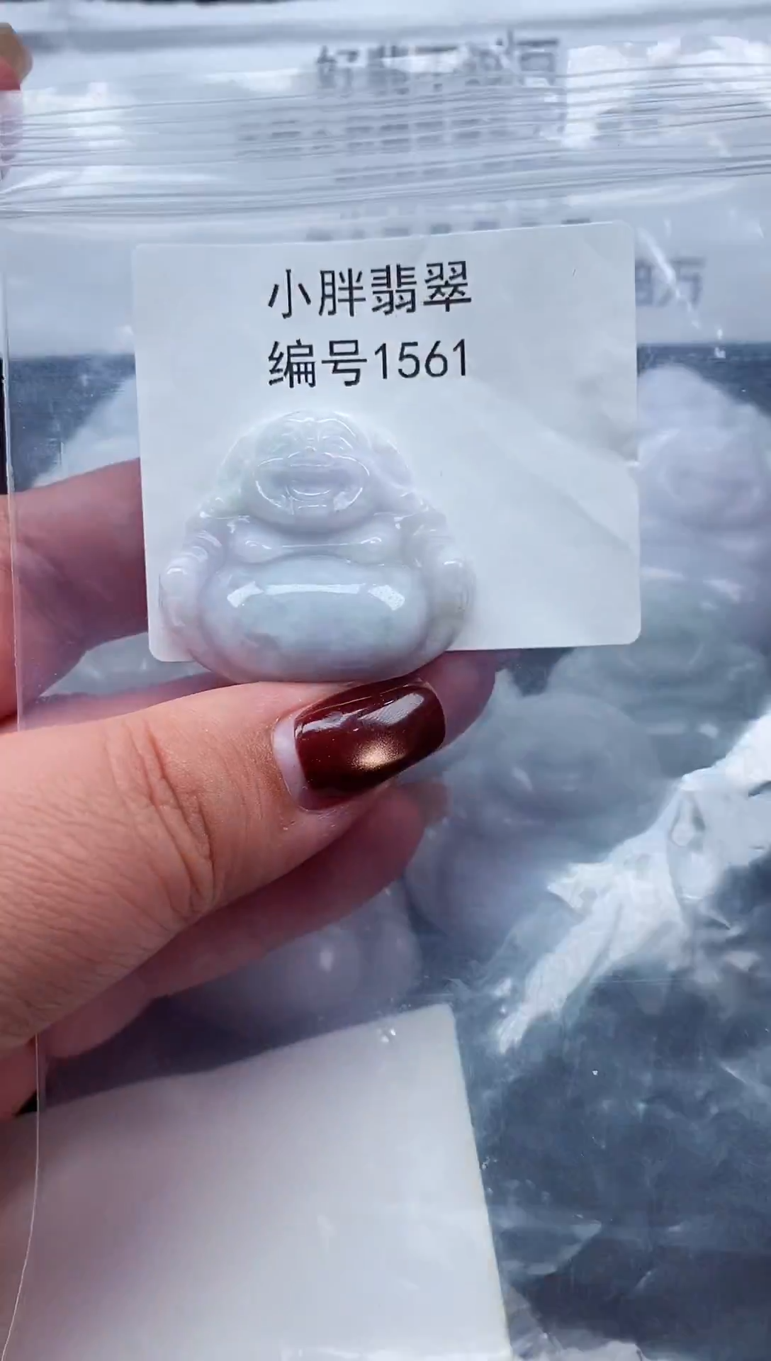 颈饰未镶嵌翡翠缅甸天然A货翡翠1561