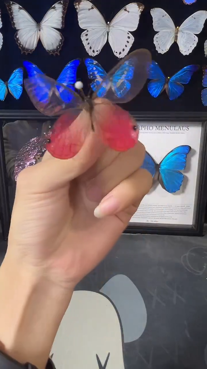 玫瑰晶眼欧版相框