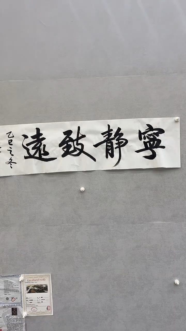 国画释天宇释天宇 宁静致远