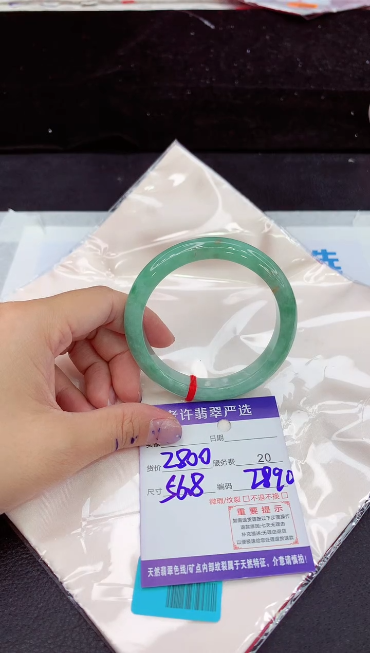 未镶嵌手镯翡翠1