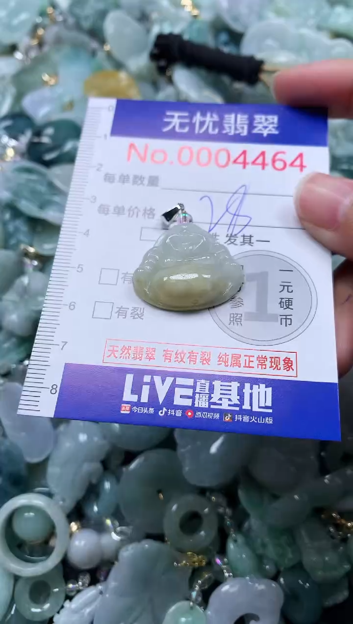 颈饰未镶嵌翡翠4464