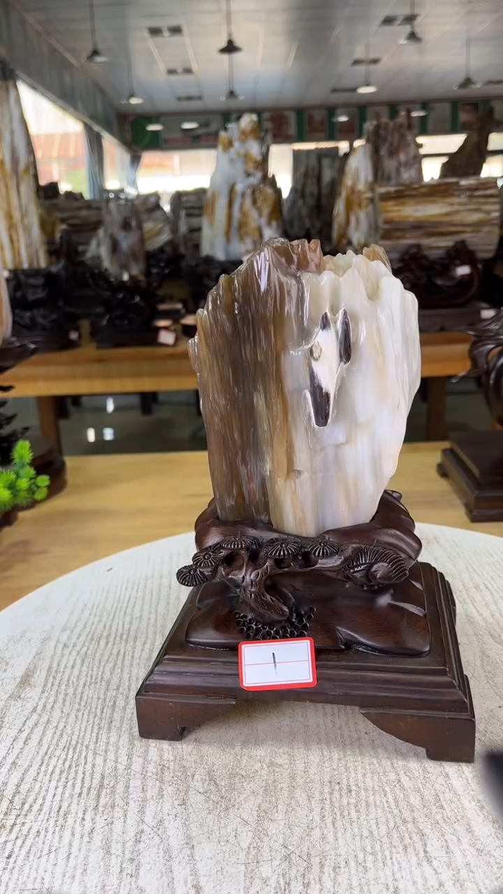 未镶嵌珠宝奇石硅化玉388