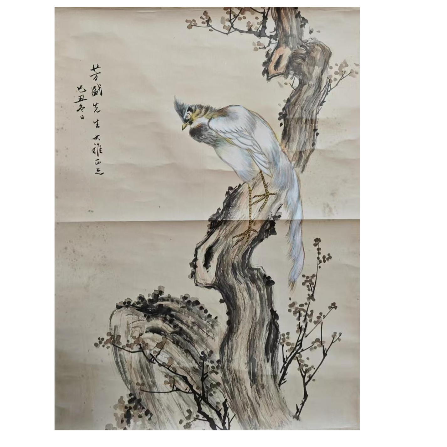 14-017-Z 鸟 尺寸38*54cm 纸本立轴