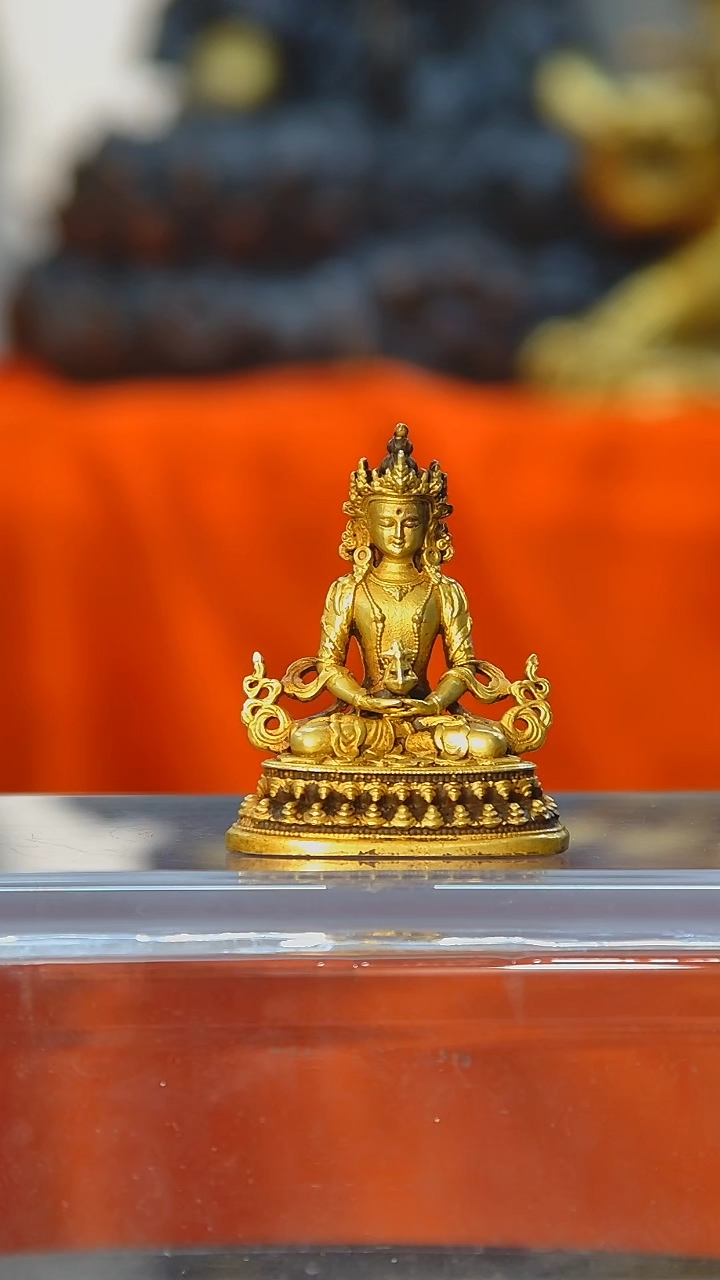 【闪购商品】佛佛佛佛佛佛佛佛佛佛佛