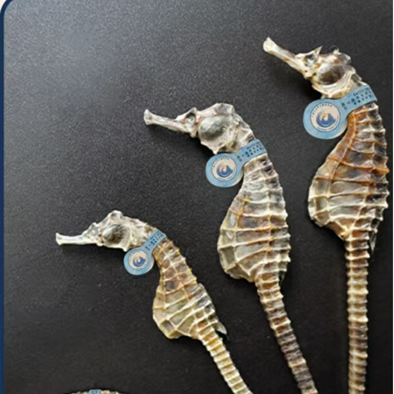 天然晒干马鱼干公母配对可用于泡酒煲汤的海鱼干