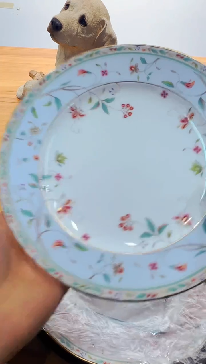 【闪购商品】瓷片a205一对好好好好好好