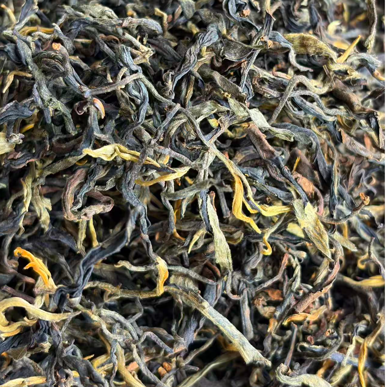 2025年东弄春尾大树晒红散茶500克12月11日-【1号品】