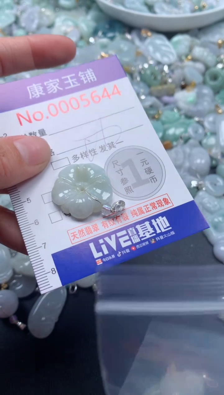 颈饰未镶嵌翡翠5644