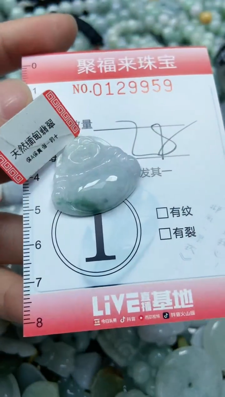 翡翠未镶嵌颈饰闪购0129959