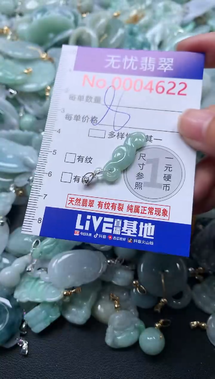 颈饰未镶嵌翡翠4622