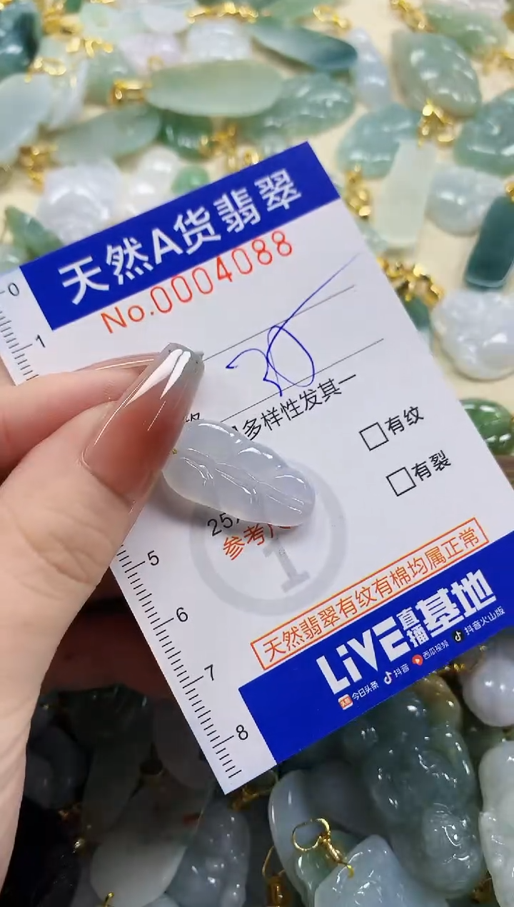 颈饰未镶嵌翡翠d****s天然A货翡翠