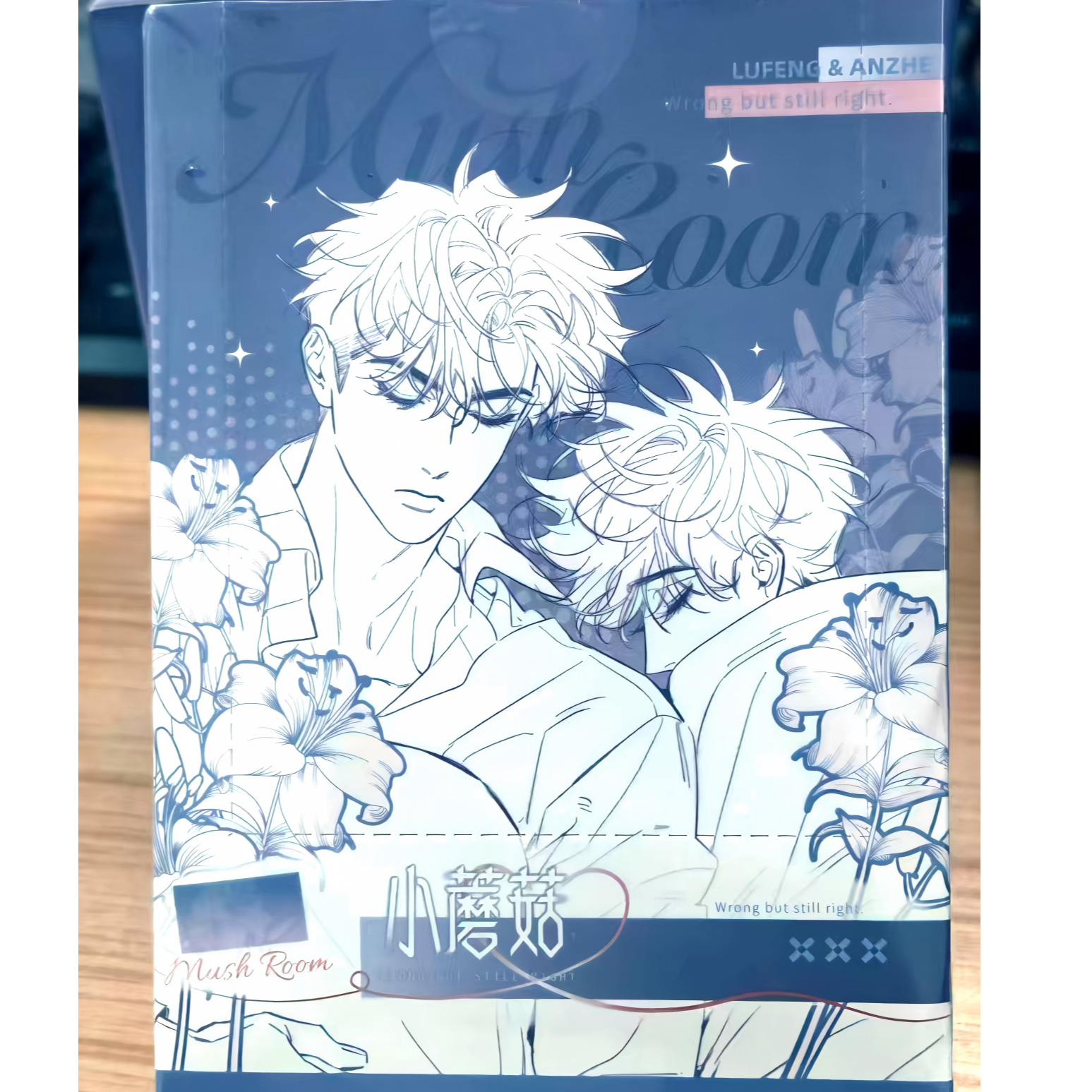 【全糖】正版 |《小蘑菇》穆色诗篇系列长方形马口铁冰箱贴盲盒徽章