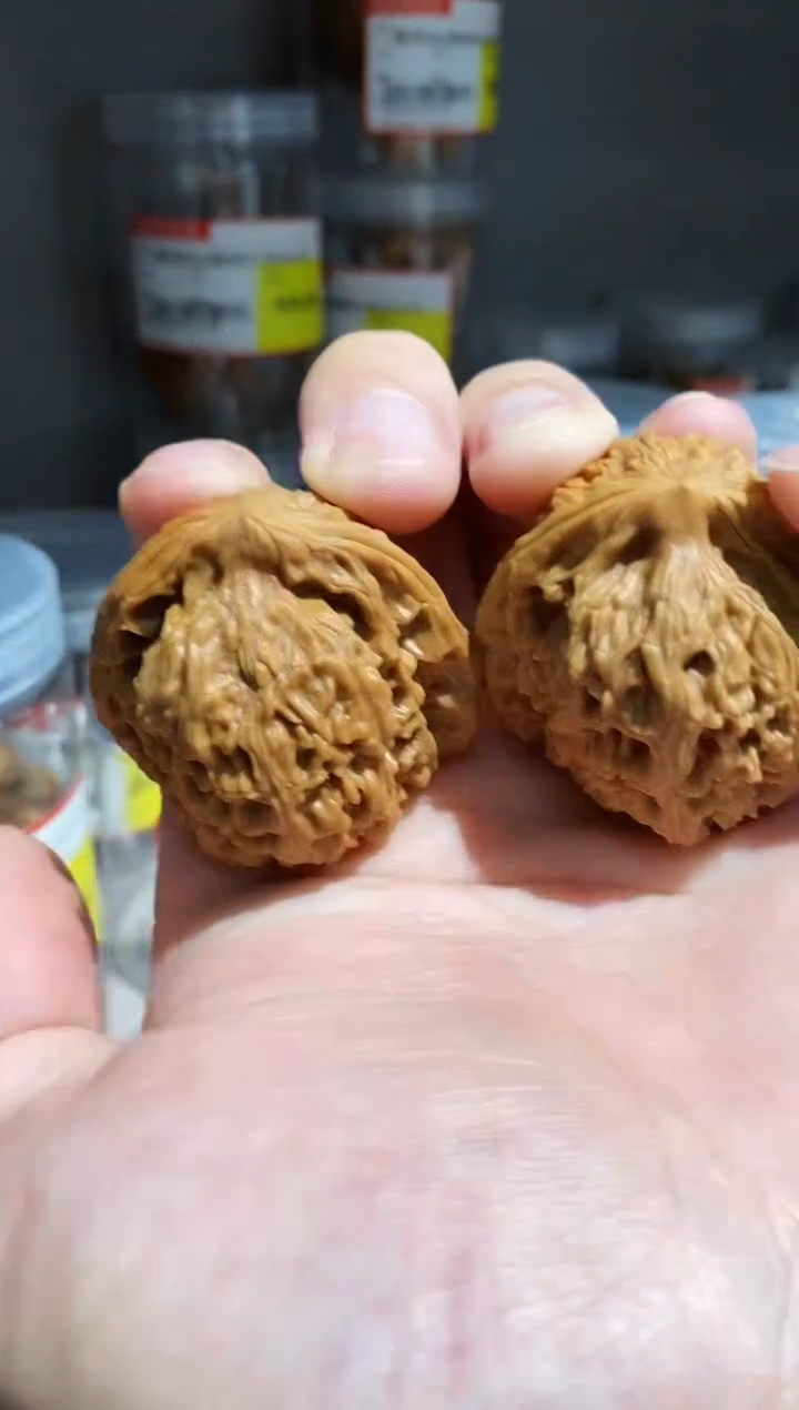 桃核把件微修打底南疆石39-40