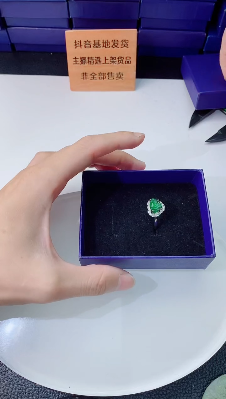 翡翠未镶嵌颈饰  ·