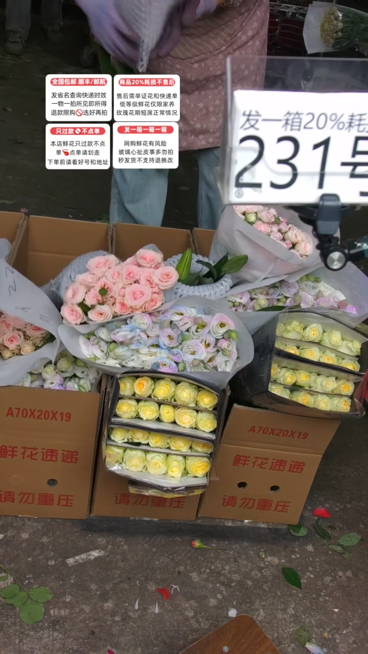 231号♥含20%耗损发一箱