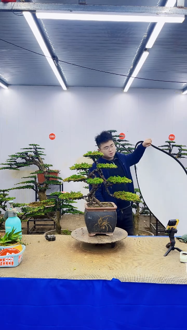 完全开放一物一拍，所见即所得