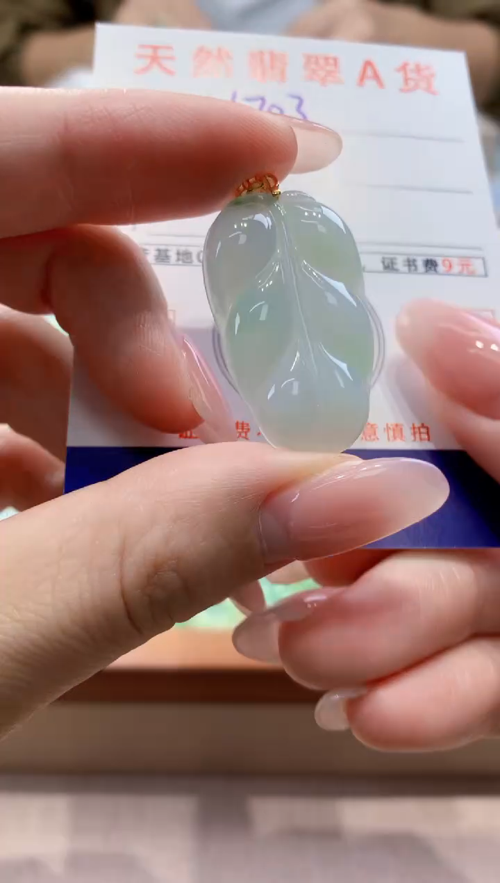 颈饰未镶嵌翡翠天然缅甸a货翡翠
