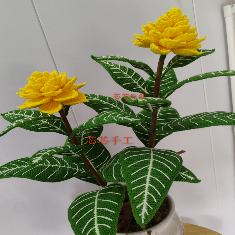 芯芯原创合集四教程（分销）