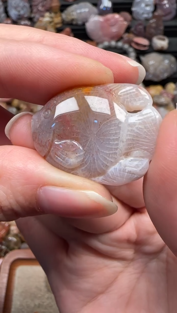 颈饰未镶嵌硅化珊瑚（珊瑚玉）707