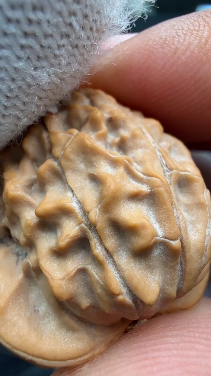 把件文玩核桃用***a156