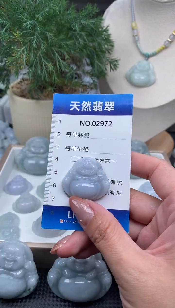 颈饰未镶嵌翡翠纯天然A货缅翡2972