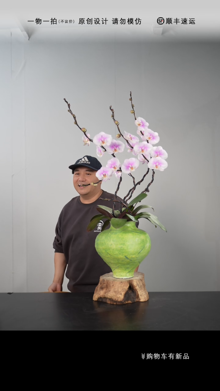 【闪购商品】075号链接【一物一拍】艺术盆景