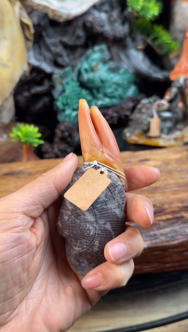 【闪购商品】茶宠摆件盘完把玩茶宠