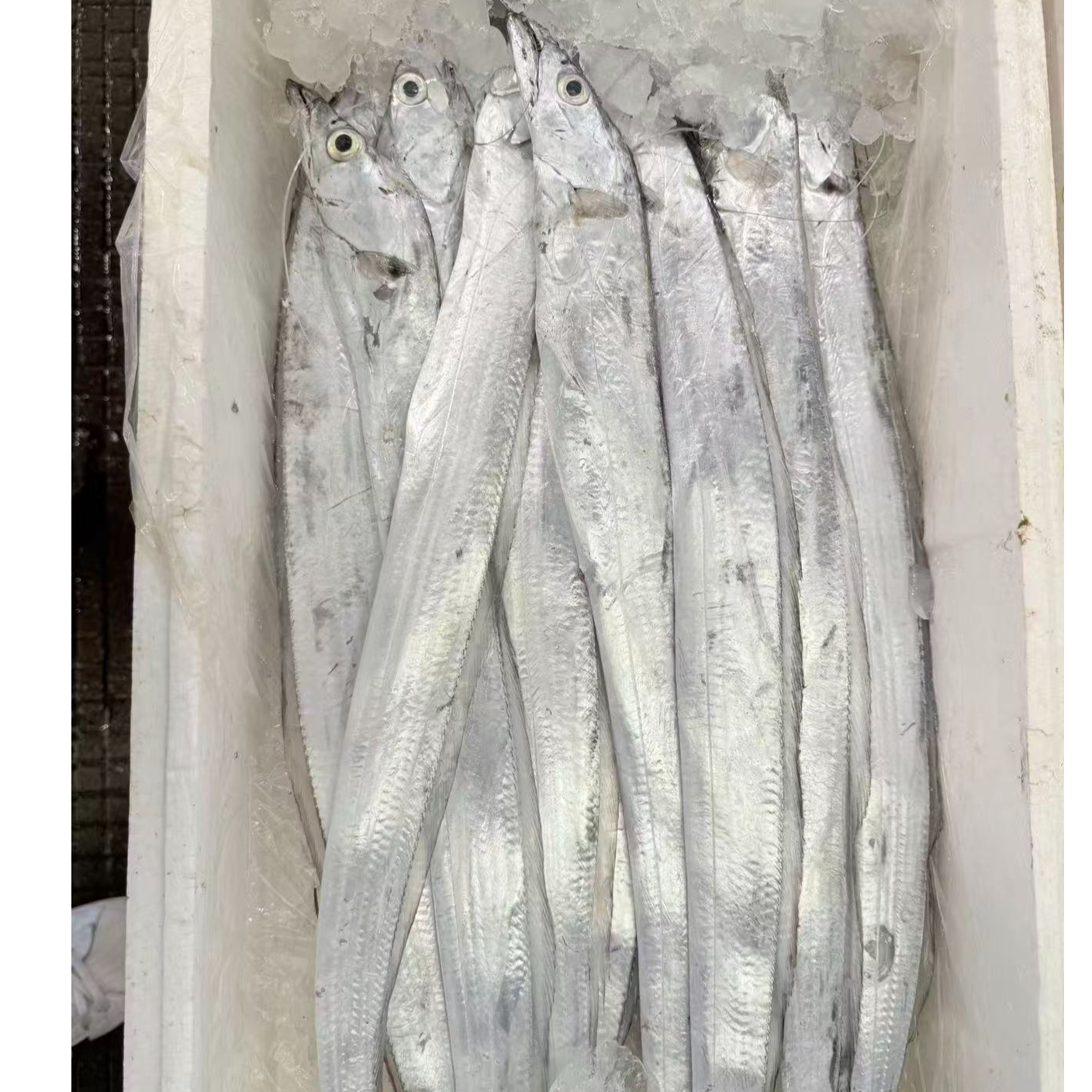 新鲜野生带鱼整条发货