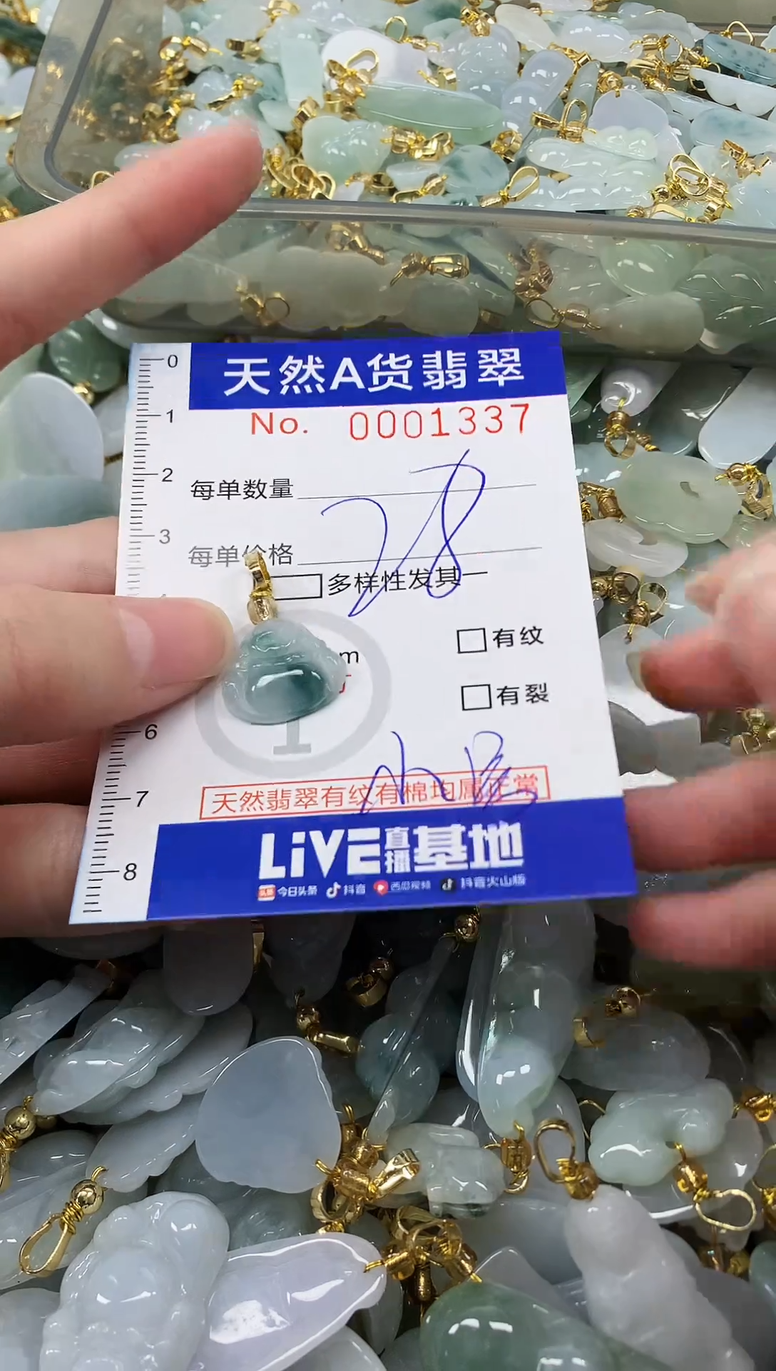 颈饰未镶嵌翡翠天然a货翡翠