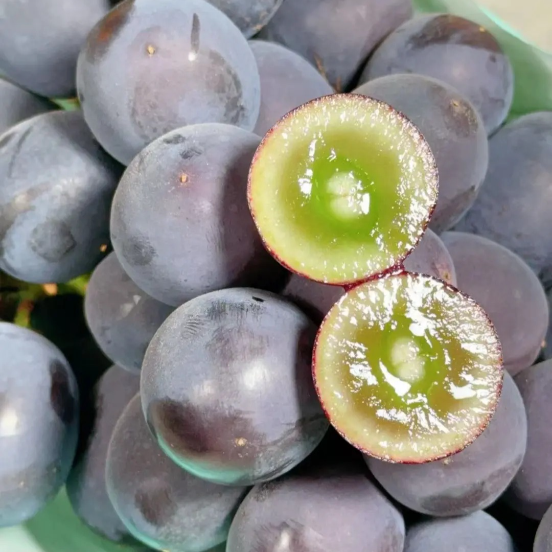 辽宁巨峰辽峰葡萄 顺丰包邮3.5斤