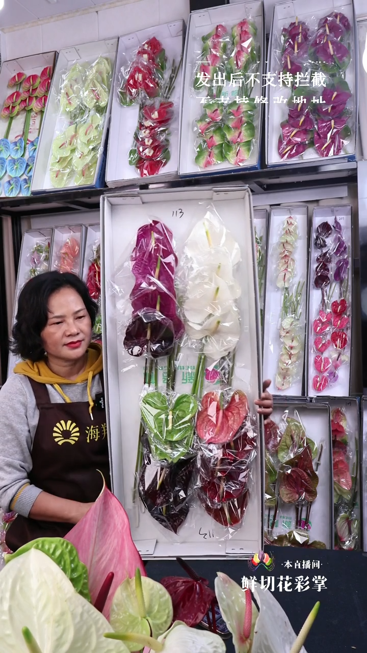 113混色18枝(长35-45cm横冠幅12-15cm)有瑕福利不退不换不售后