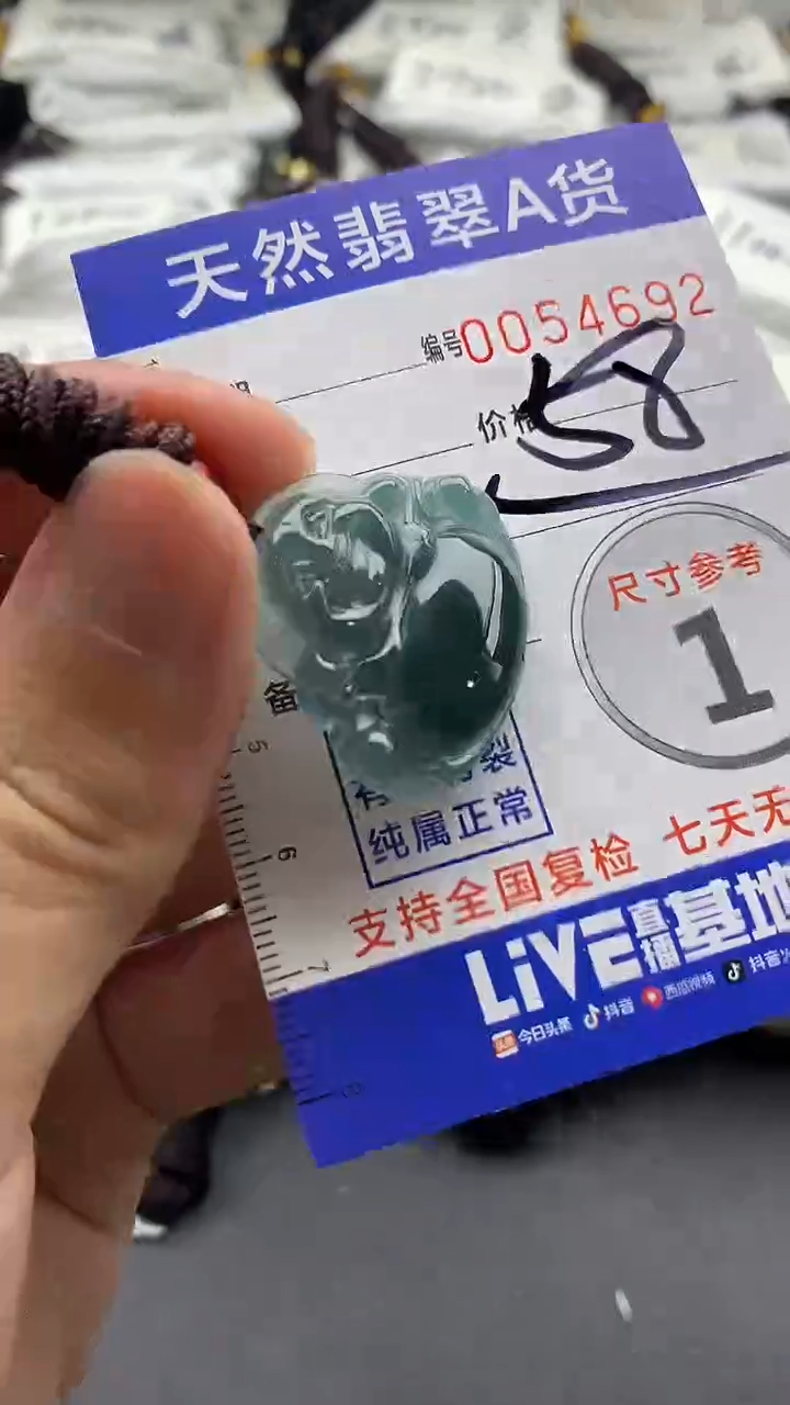 【闪购商品】翡翠颈饰未镶嵌55555555555