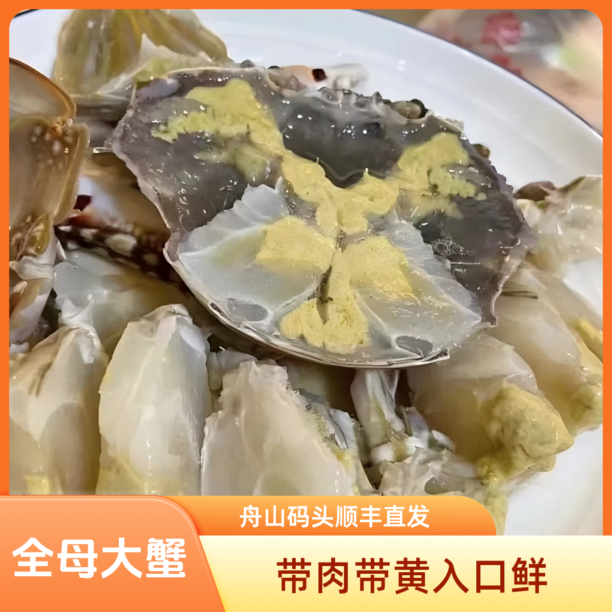 【带黄母蟹】舟山东海野生海捕梭子蟹约3两/只到手10只约3斤【冻蟹】