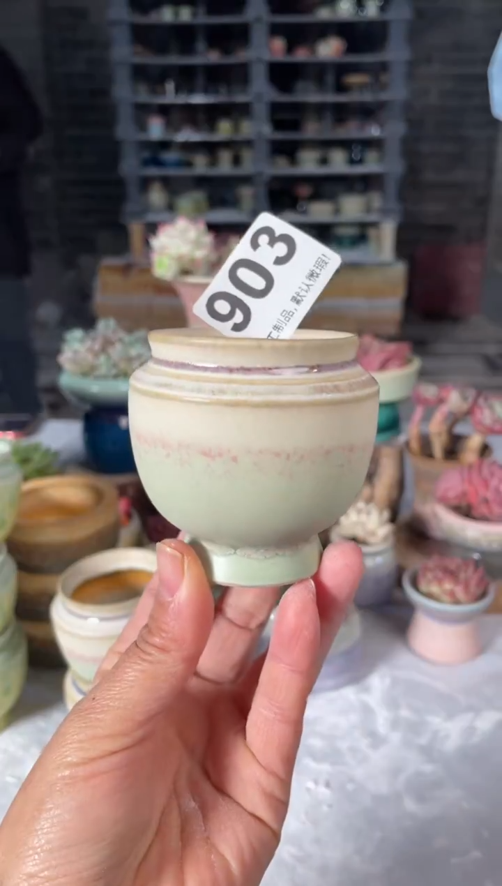 瓷片903小芳直播编号