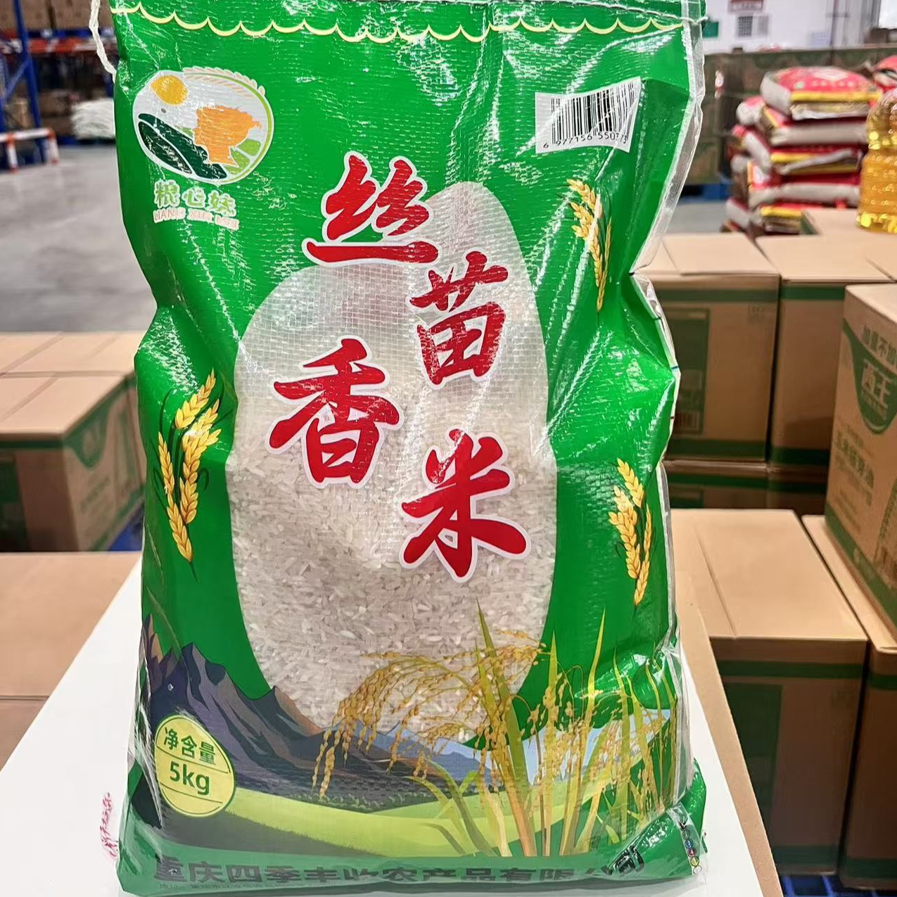 丝苗香米色泽白润冷不回生