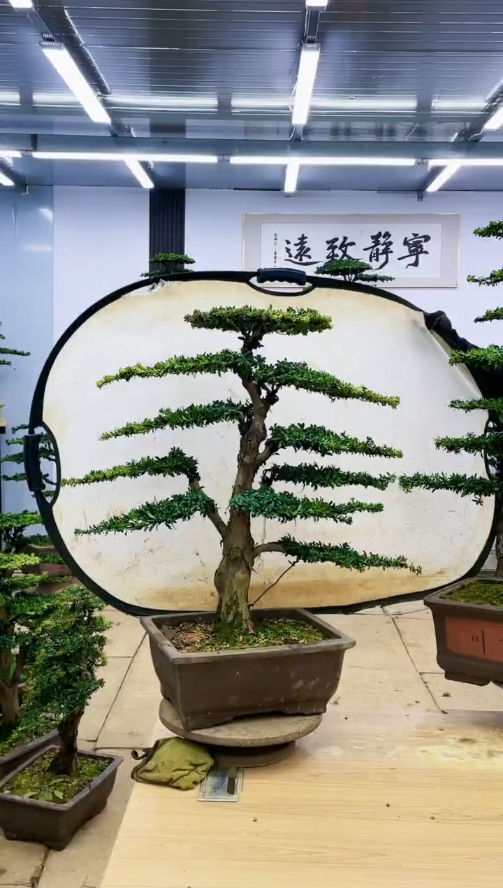 【闪购商品】000000000