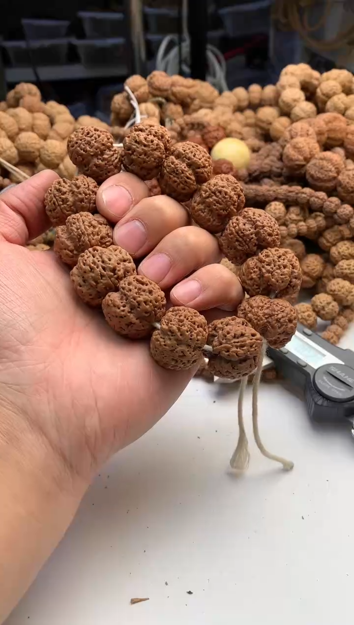 【闪购商品】金刚菩提吊坠1977777777